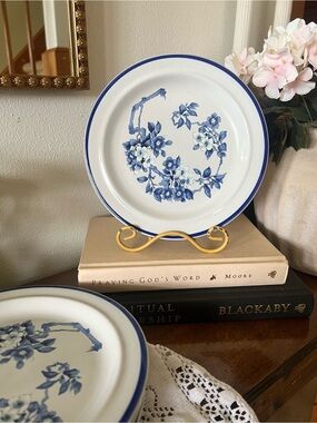 Blue Floral Ceramic Dinner Plates set of 5 - White and Blue